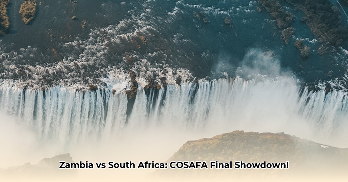 zambia-vs-south-africa-live